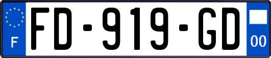 FD-919-GD