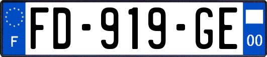 FD-919-GE