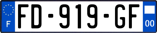 FD-919-GF