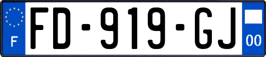 FD-919-GJ