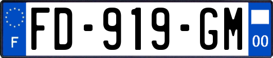 FD-919-GM