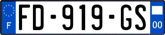 FD-919-GS