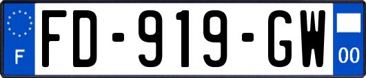 FD-919-GW