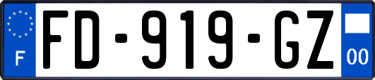 FD-919-GZ