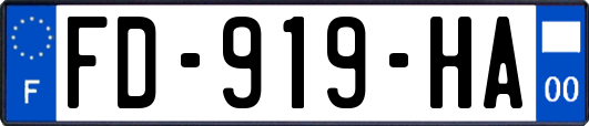 FD-919-HA