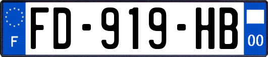 FD-919-HB
