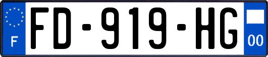 FD-919-HG
