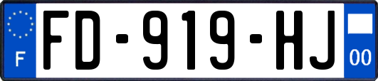 FD-919-HJ