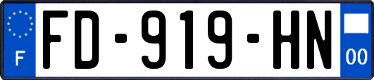 FD-919-HN