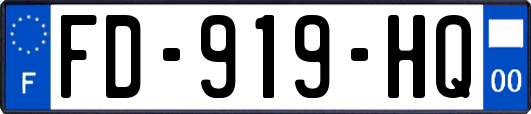 FD-919-HQ