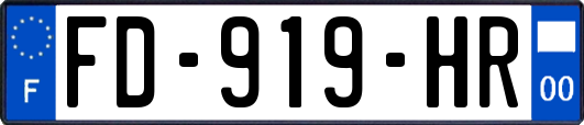 FD-919-HR