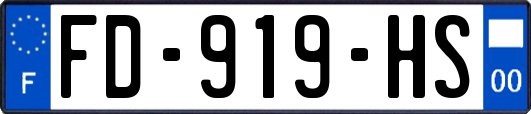 FD-919-HS