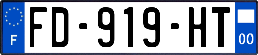 FD-919-HT