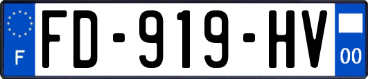 FD-919-HV