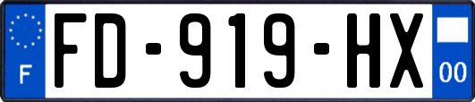 FD-919-HX