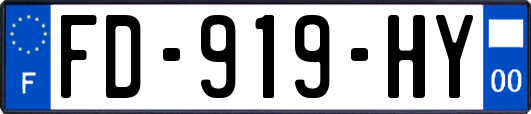 FD-919-HY