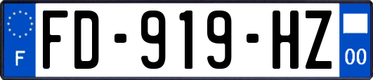 FD-919-HZ