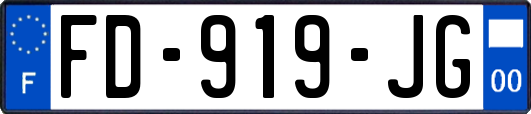 FD-919-JG