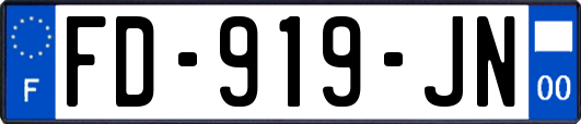FD-919-JN