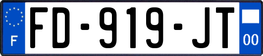 FD-919-JT