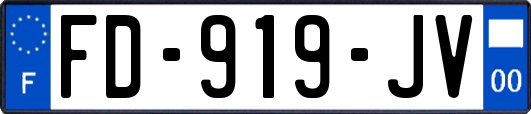 FD-919-JV
