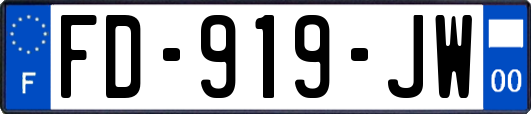 FD-919-JW