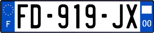FD-919-JX