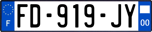 FD-919-JY