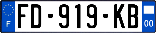 FD-919-KB