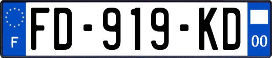 FD-919-KD