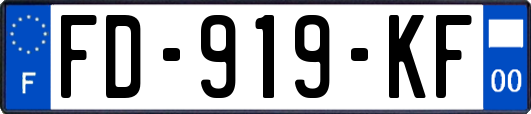 FD-919-KF