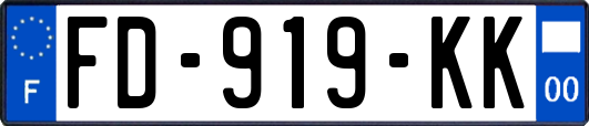 FD-919-KK