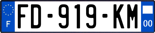 FD-919-KM