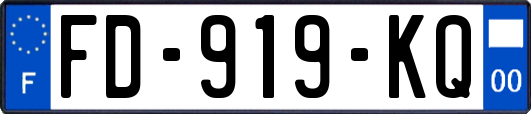 FD-919-KQ