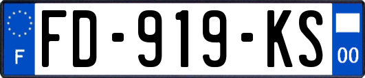 FD-919-KS