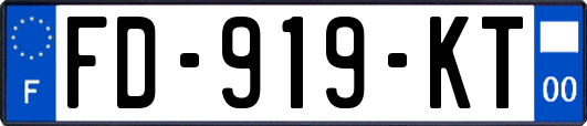 FD-919-KT