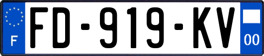 FD-919-KV