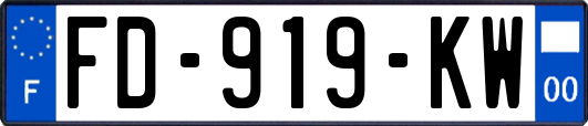 FD-919-KW