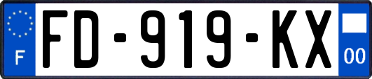 FD-919-KX