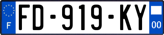 FD-919-KY