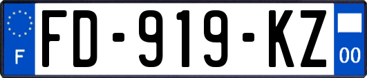 FD-919-KZ