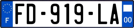 FD-919-LA