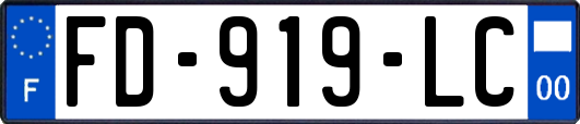 FD-919-LC