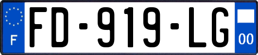 FD-919-LG