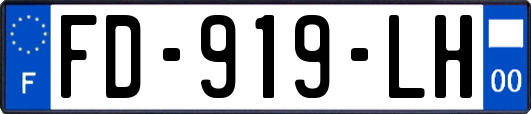 FD-919-LH