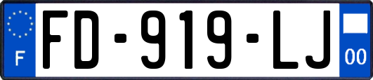 FD-919-LJ