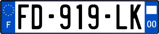 FD-919-LK