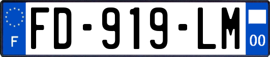 FD-919-LM