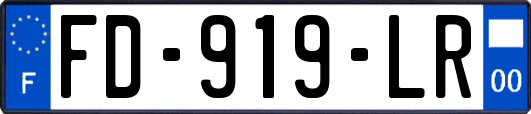 FD-919-LR