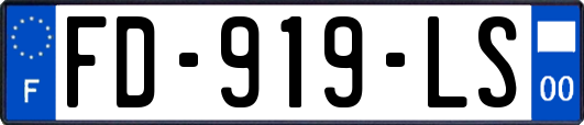 FD-919-LS